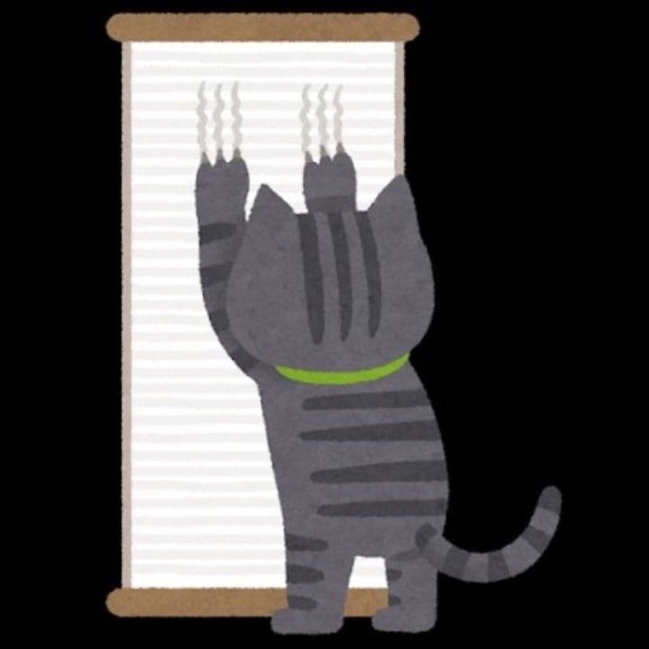爪とぎ猫😸