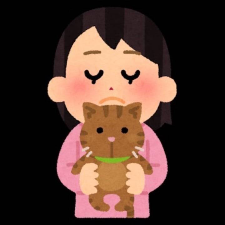 くんくん😸
