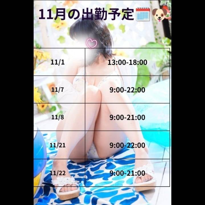 11月シフト！