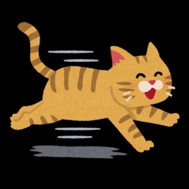 帰るよん😸