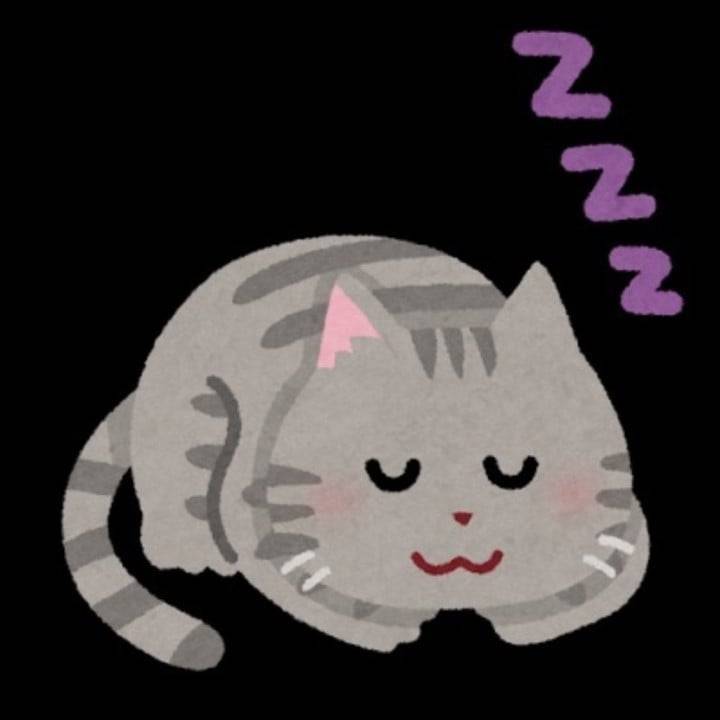 おやすみ猫😸