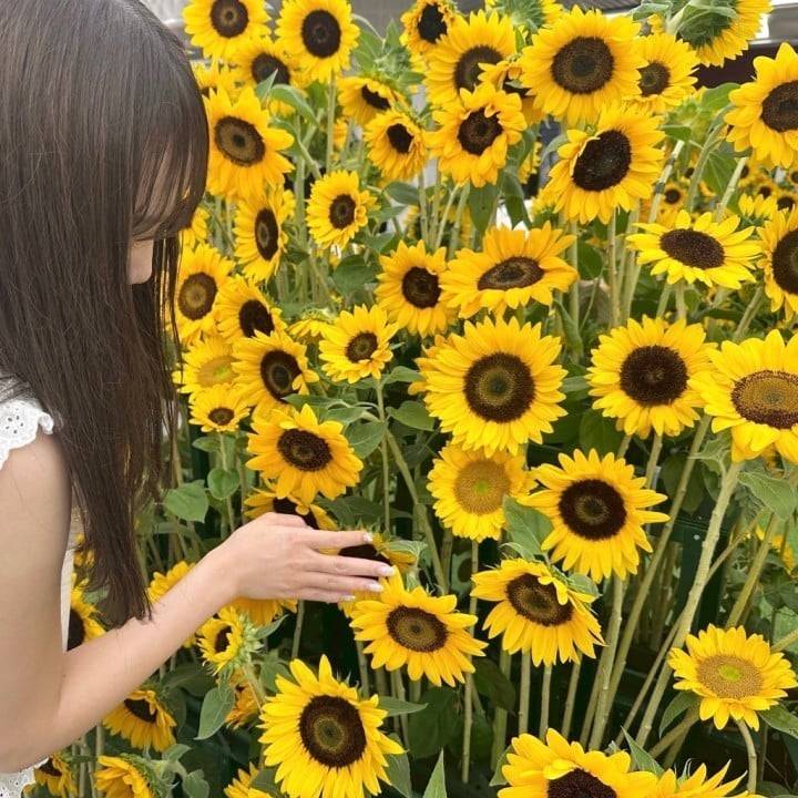 たくさんのありがと🫶🏻