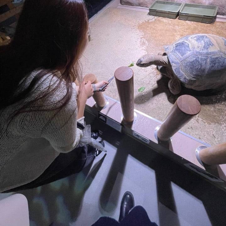 ☔＆🆕