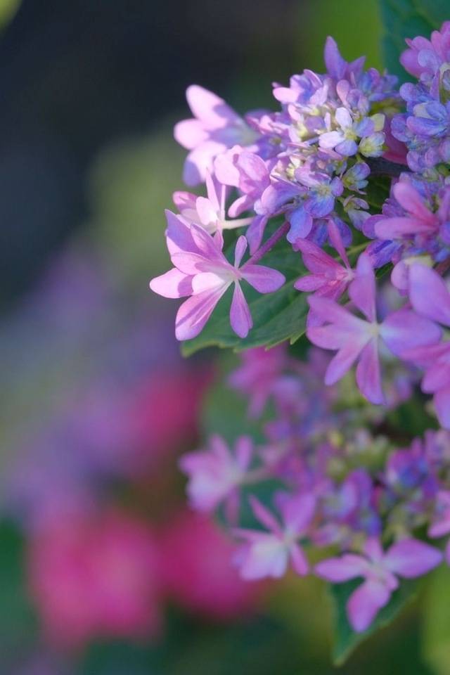 15時から🎀🎶