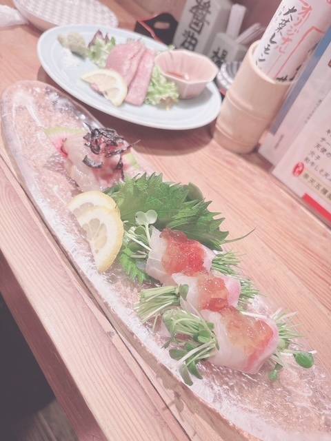 15時から🦖🐾