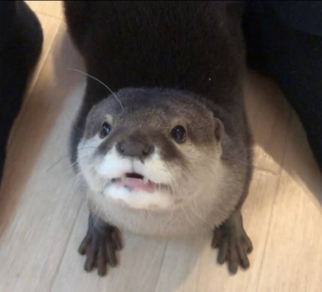 退勤(´･ω･)っ🍵