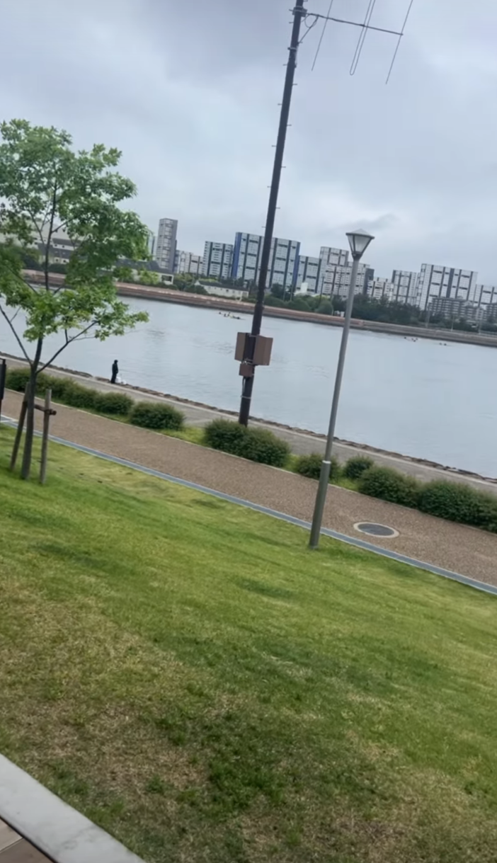 【お散歩】