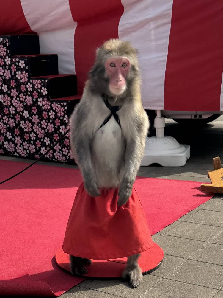 明日出勤するよ！！！