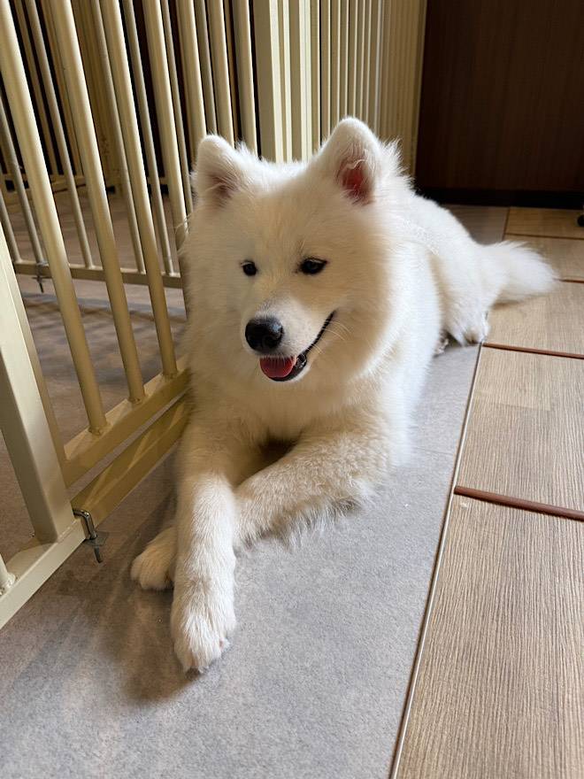 ありがとうございました