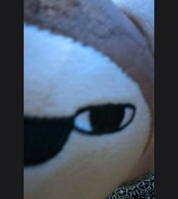 らいよんチャン見せ忘れた??明日は20時～ごあんない！