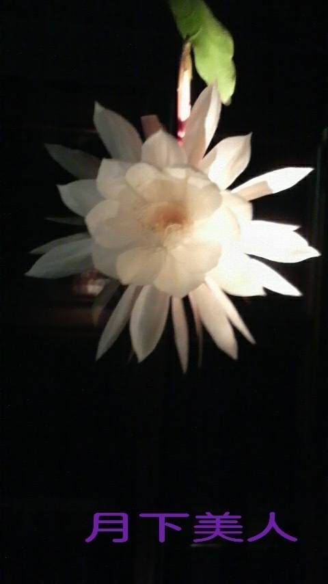 明日も出勤します🍀