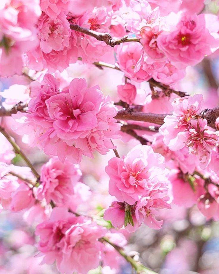 ご予約ありがとうございます♥️