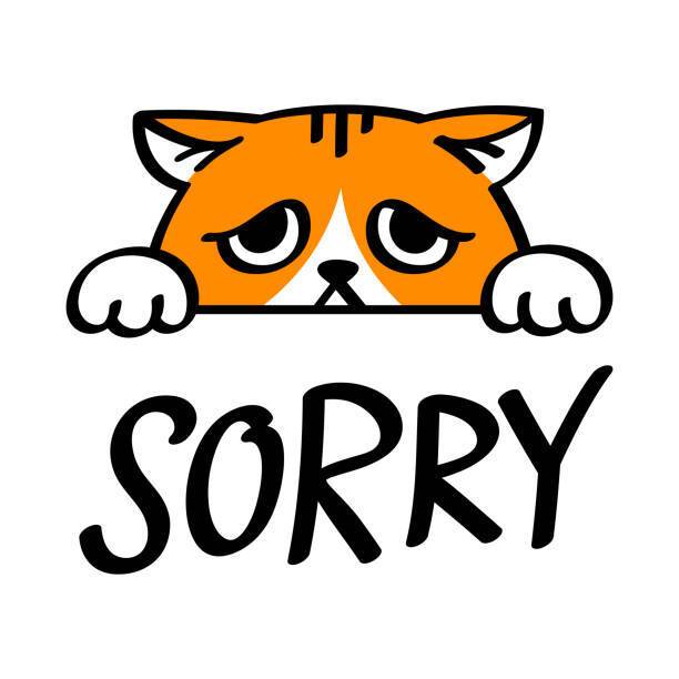 りん（明石の熟女達・女華(めか））