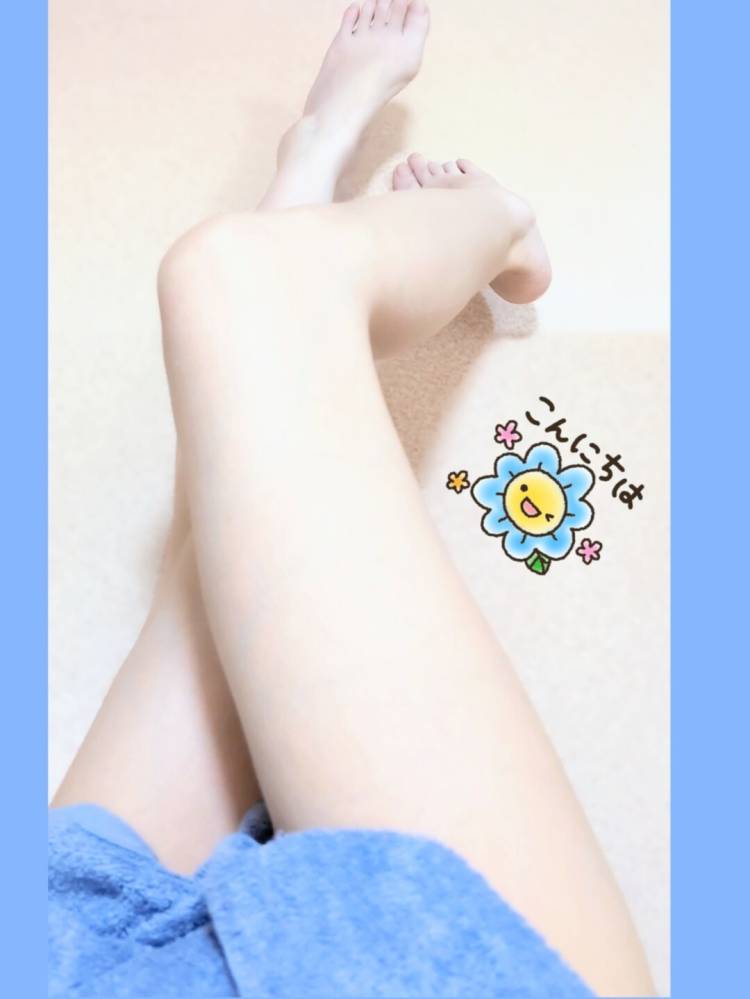 おはようございます🐬