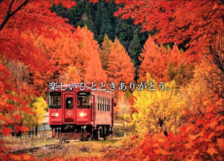 お礼日記🍁