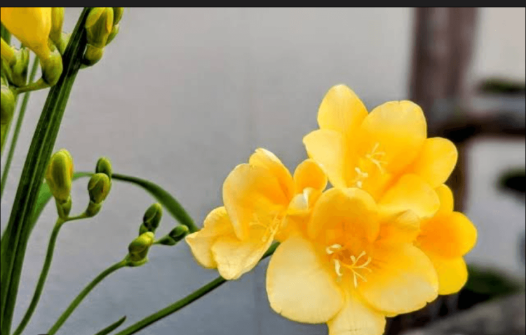 りの♡可能OP無料‼︎（Club Milky Pink）