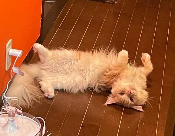 ? 「発見場所、クセ強すぎ?」