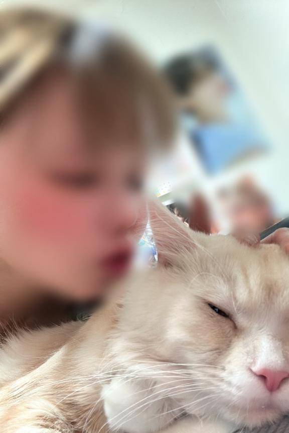 愛しの末っ子に背中押されて?