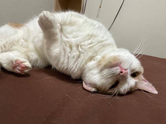 必殺ゴロスリタイム