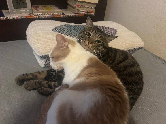 見た目に騙されるな！