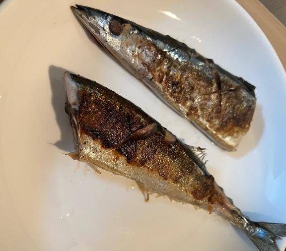また秋刀魚?