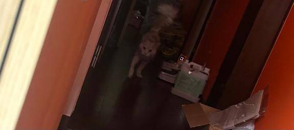 ??出勤チャレンジ成功