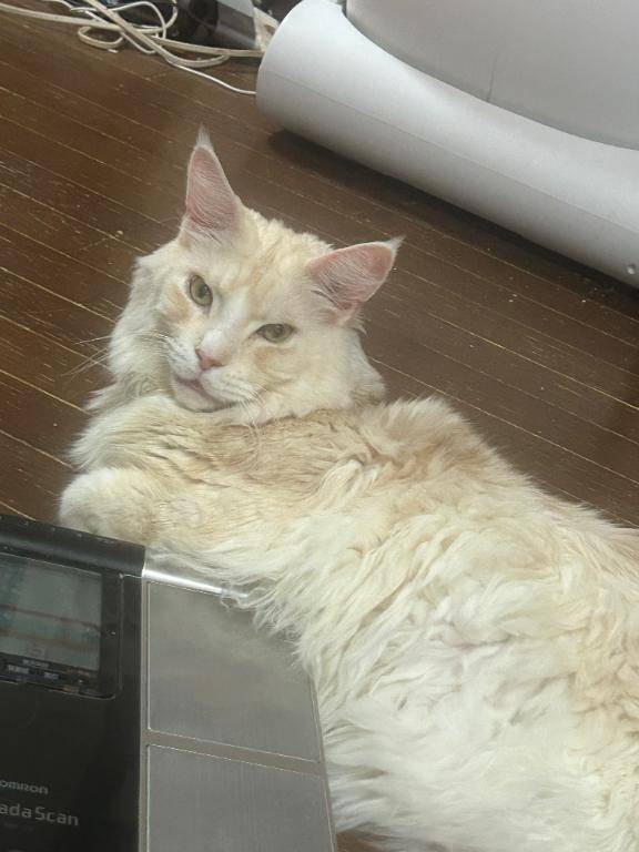 ?朝の異臭事件、発生?