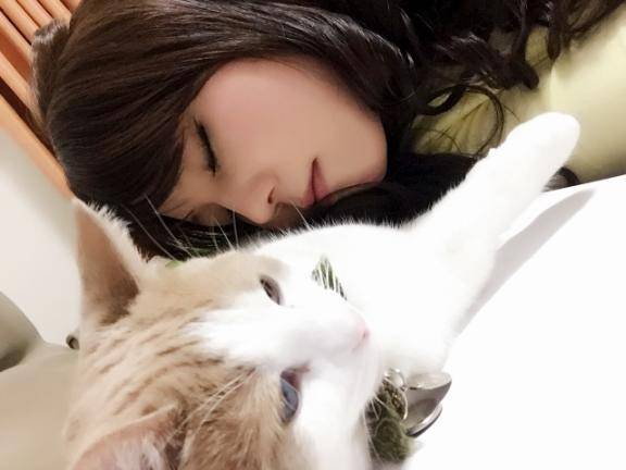 写メ日記?いいえ猫日記?