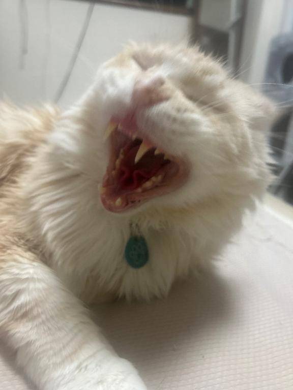 ?イタズラは命がけ!??