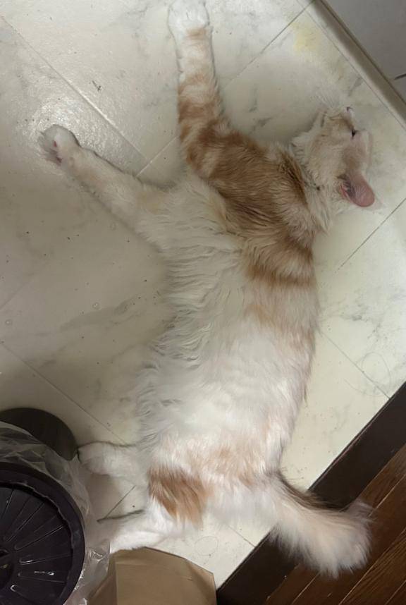 甘えた天使と、苦い時間(´；ω；｀)