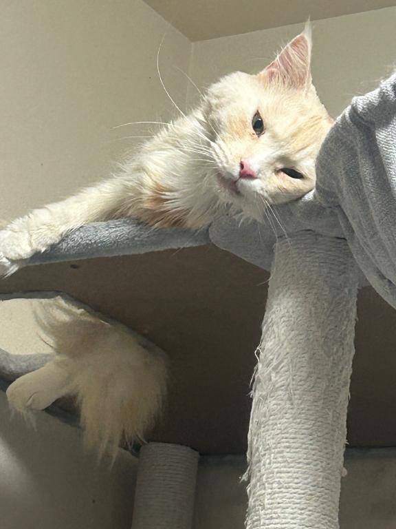 ??《復活のプリンス伝説 ?第2章?》??