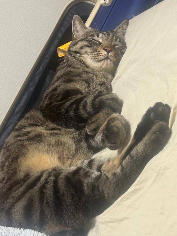 長いんですが、見ていかれますか？