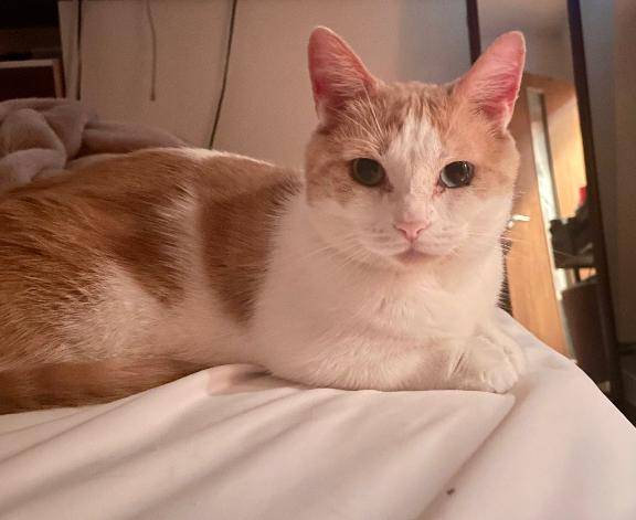 フリーのO様へ??