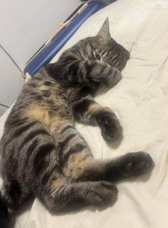 今日も全力で生きたので、寿司ください