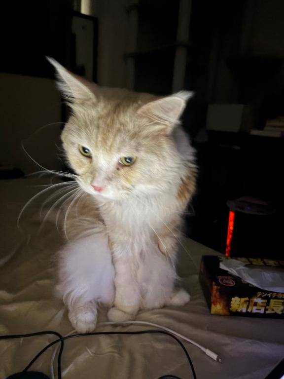 目力すごいね？