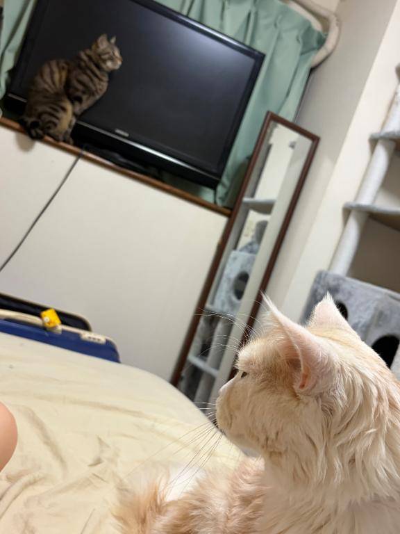 静かに始まる朝の包囲網