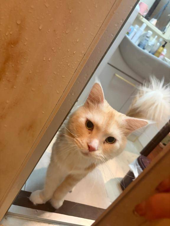 寝坊の先に天使いた