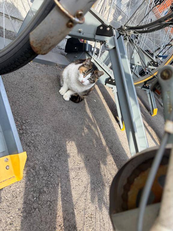 神戸行く前に癒し補給