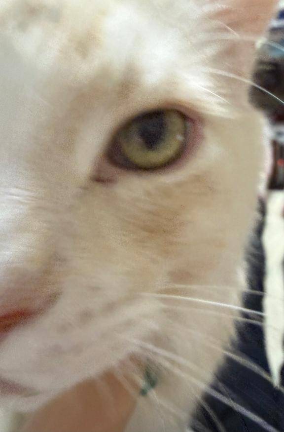 パネル指名のK様へ??