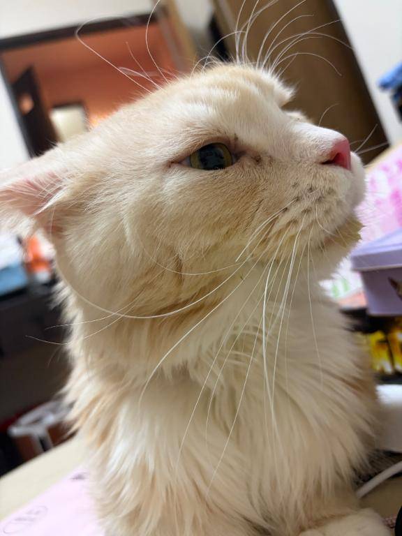 末っ子、緊急事態??