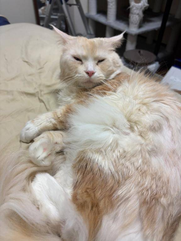 パネル指名のT様へ