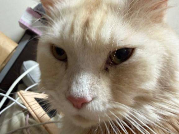 本日の起こし屋さんはこちら???♀?