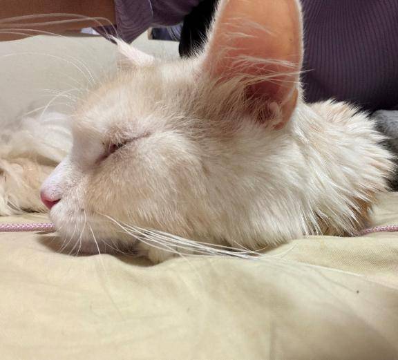 ?本日の起こし屋さん日記?