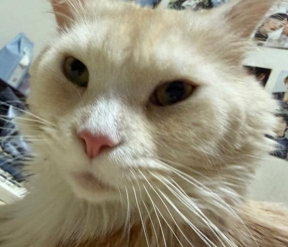 起こし屋さん日記???