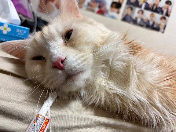 退勤しましたっ⊂(`･ω･´)⊃ﾊﾞｯ