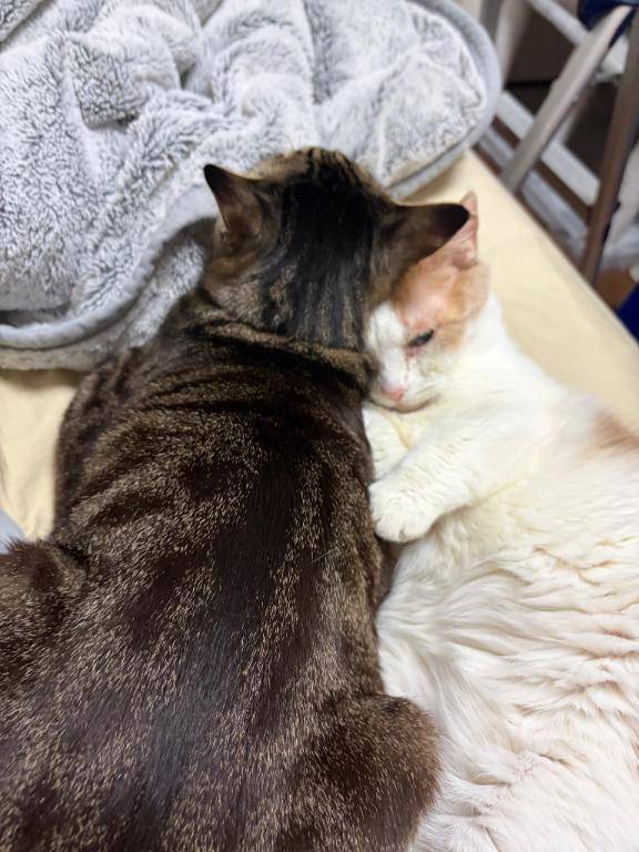 本日の起こし屋さん?