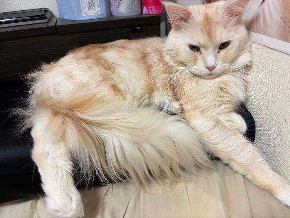 【本日の起こし屋さん?】