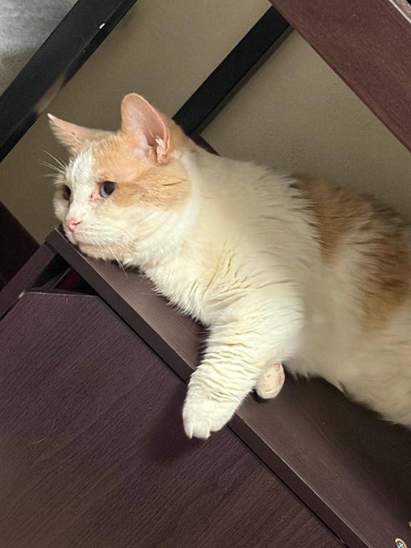 ミッションクリア??