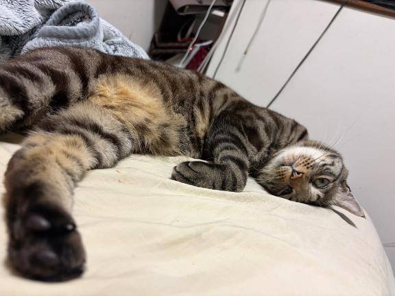 本日の起こし屋さん