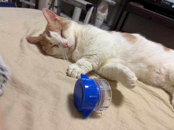 【葛藤の時間】